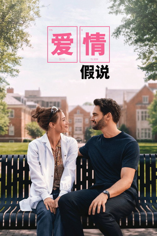 《爱情假说》海报