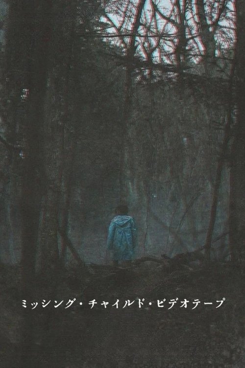 《失踪儿童录像带》海报