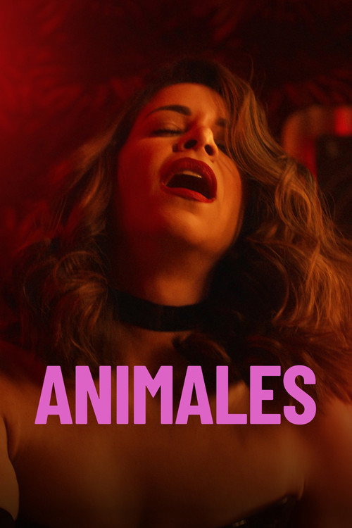 《Animales》海报